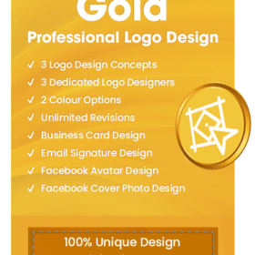 Professional Logo Design Package