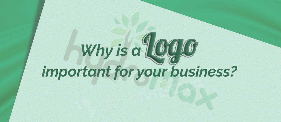 Why is Logo important for your business_silk media web services_1